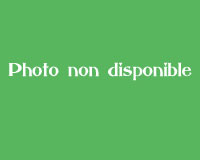 POUR UNE HISTOIRE RELIGIEUSE 4 Volumes
